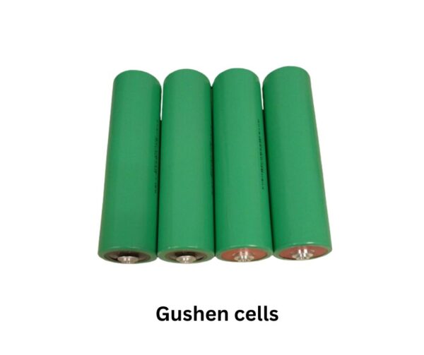 Gushen 7.5kW 110Ah Battery Kit