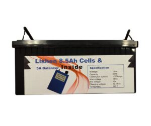 Lishen 10kW LiFePo4 Battery Pack (1000A) (with Lishen 8.5Ah Cells)